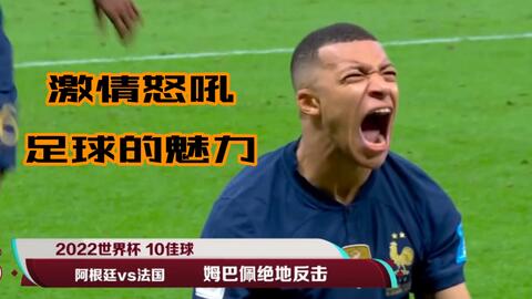 详细的赛